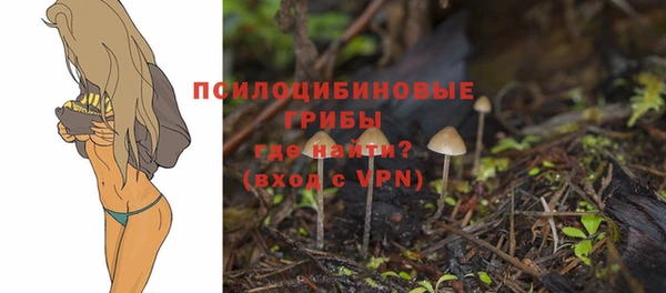 ГАЛЛЮЦИНОГЕННЫЕ ГРИБЫ Балахна